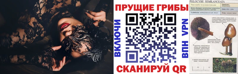 Галлюциногенные грибы Cubensis  наркотики  Курильск 